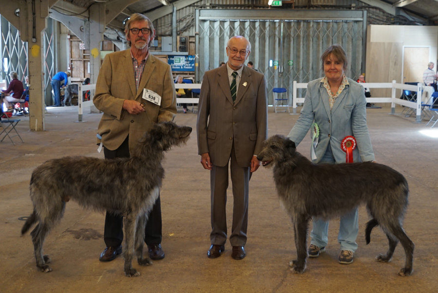 Kilbourne deals deerhounds